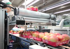 Una fase del confezionamento delle mele Pink Lady.