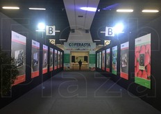 Con una festa organizzata sabato 21 novembre Coferasta ha festeggiato in un padiglione di Ferrara Fiere i suoi 50 anni di attivita' insieme a produttori, compratori, fornitori e istituzioni.