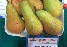 Primo piano per alcune varieta'.