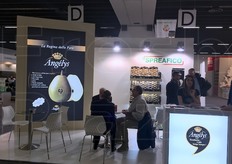 Nello spazio espositivo Spreafico, riflettori puntati su Angelys, la varieta' di origine francese coperta da brevetto. La sua commercializzazione e' appannaggio del Club Angelys di cui Spreafico Francesco & f.lli spa e' esclusivista per l'Italia.