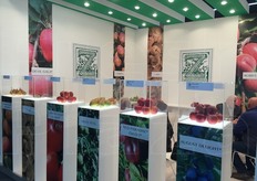 Presenti le varieta' di punta proposte da Vivai Flli Zanzi per le principali specie da frutto.