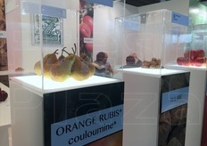 Rassegna biennale, Futurpera tornera' nel 2017.