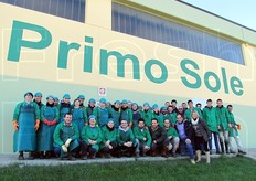Fondata nel 1996 da un gruppo di giovani produttori ortofrutticoli, Primo Sole e' una cooperativa di soci lavoratori nata con l'intento di promuovere i propri prodotti sui mercati nazionali ed esteri. L'azienda si trova a Montescaglioso, in provincia di Matera. E' composta da 14 soci (9 produttori e 5 aziende terze) che coltivano circa 200 ettari di orticole autunno-vernine e 120 ettari investiti a prodotti primaverili-estivi.