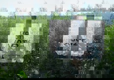 L'attenzione prestata dalla cooperativa alla realizzazione di un prodotto genuino, sicuro e di qualità, si estende su tutta la filiera produttiva. Il sigillo di qualita' della filiera Primo Sole e' garantito dalla certificazione Global Gap, quella maggiormente riconosciuta a livello mondiale dalle principali catene di distribuzione.