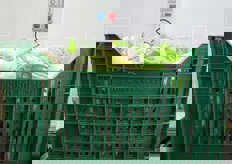 Ognuna, infatti, sara' destinata a un singolo operatore per una prima selezione.