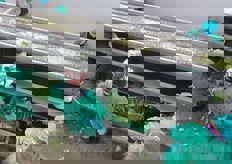 Con un investimento pianificato, e' stata creata una linea di lavorazione per finocchi, la cui ideazione e progettazione e' dello stesso Appio mentre la realizzazione si deve alla RG di Cesena.