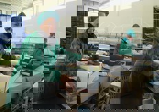 Postazione dove i cavolfiori destinati all'export vengono avvolti dal film plastico.