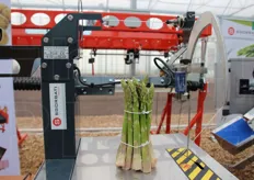 Fascettatrice per asparagi in esposizione a Orticoltura Tecnica in Campo.