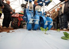 Mercoledi' 27 gennaio si e' aperta la XV edizione di Orticoltura Tecnica in Campo, la tre giorni di prove in campo di macchinari e convegni dedicati all'orticoltura organizzati da due aziende leader del settore, entrambe del mantovano: la Ferrari Costruzioni Meccaniche, sede delle prove in campo, e la Idromeccanica Lucchini, sede dei convegni. FreshPlaza era presente; eccovi quindi alcuni scatti realizzati da noi durante le prove in campo, mentre nel notiziario troverete altri approfondimenti. Buona visione!