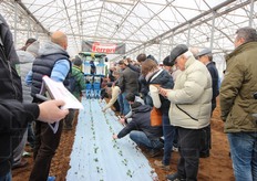 Il pubblico durante le prove in campo.