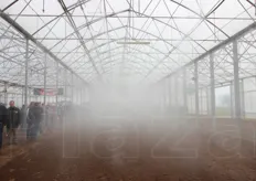 La 'nebbia' sotto serra creata dal sistema di nebulizzazione della Scova Impianti. Con cicli brevi serve per irrigare, fare i trattamenti e controllare temperatura e umidita'.