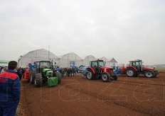 Fuori dalle serre, in campo aperto, escono i grossi cavalli.
