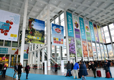 L'edizione 2016, secondo gli organizzatori, ha totalizzato un numero record di 70mila visitatori professionali.