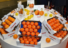 Una bella esposizione delle varieta' agrumicole in produzione presso la 3 moretti. L'azienda ha introdotto nel proprio assortimento cultivar innovative come Tacle, Mandared e altre.