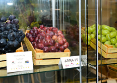 Queste uve sono disponibili in tutte le gradazioni di colore.