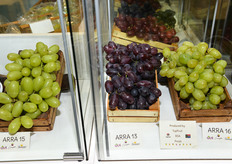 Alcuni dei cavalli di battaglia che stanno affermandosi anche in Italia.