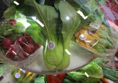 "Il pak choi, al centro nella foto, e' l'ultima novita' tra le orticole prodotte dell'Eurocirce; si tratta di un tipo di cavolo cinese. "Destinato in prevalenza al mercato tedesco, i riscontri sono discreti. Prevista un'ulteriore espansione dell'attuale areale"."