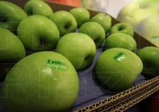 Nello stand della From mele provenienti direttamente dalle Alpi italiane, come recita il bollino.