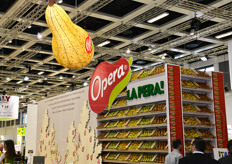 Una new entry nell'area Italy di quest'anno: parliamo della nuova aggregazione Opera, nata dai promotori Agrintesa, Fruit Modena Group, PatFrut, con il coordinamento di Apo Conerpo e intesa a dare nuova forza alla produzione italiana di pere.