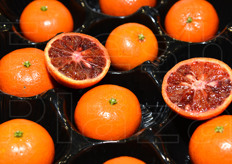 Presso lo stand Oranfrizer, dettaglio di una cultivar ancora in fase di sperimentazione.