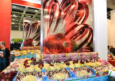 Bella esposizione di radicchi presso lo stand La Rosa.