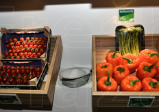 Un dettaglio delle selezioni varietali De Ruiter e Seminis.