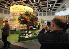 A buon titolo l'Albero della Vita siciliano e' stato probabilmento uno degli elementi di questo Fruit Logistica piu' fotografato.