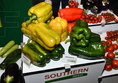 Una carrellata sulle principali selezioni varietali Southern Seed.