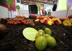 Varieta' di pomodorini e peperoni della Syngenta.