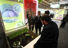 Alcune delle varieta' targate Syngenta in bella mostra a Berlino.
