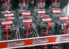 Nuovo bicchierino da 100 grammi di mirtilli, con la nuova versione del marchio Sant'Orsola.