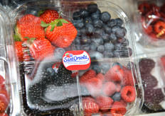 Confezione mista fragole e piccoli frutti.