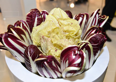 Una bella composizione di Radicchio Treviso e Variegato.