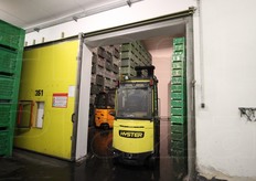 Quando il livello di ossigeno si e' normalizzato e non ci sono pericoli per gli operatori, inizia la movimentazione dei cassoni verso le successive fasi di lavorazione. Una cella frigo viene interamente svuotata nel corso di una giornata.