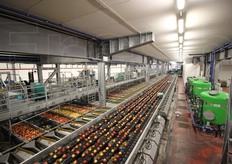 La calibratrice conta una sezione (non visibile in foto) in cui sono presenti 45 videocamere che per ogni mela scattano circa 60 immagini. Nella foto, a destra si notano invece dei grossi serbatoi verdi: si tratta di un impianto filtrante per la sanificazione e il riutilizzo dell'acqua usata per la movimentazione delle mele, in modo da poterla cosi' utilizzare anche per un mese intero, con un notevole risparmio di una delle risorse piu' preziose del pianeta. Prima l'acqua doveva essere cambiata circa una volta alla settimana.