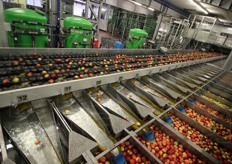 La calibratrice in funzione.