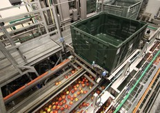 "Un articolato sistema di sottovuoto permette di riempire il cassone in foto senza che le mele si ammacchino. "Una pompa tira fuori l'aria - spiega Sachsalber - e per effetto della pressione le mele vengono spinte in alto in un cubo per poi riscendere, senza danneggiamenti, e posizionarsi nel cassone"."