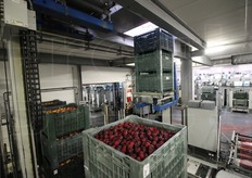 Nella foto si nota il sistema di carrelli elevatori che portano i cassoni nel magazzino automatico refrigerato. Con questo sistema le porte d'ingresso e d'uscita son piu' piccole che in un magazzino tradizionale e restano aperte per tempi calibrati al secondo. Questo permette minori sprechi e sbalzi termici tanto che si calcola che in media, dopo la calibratura, una mela perda il 50% di peso in meno rispetto ai sistemi tradizionali.