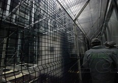 All'interno del magazzino automatico grande. Da sottolineare l'intenso profumo emanato dalle mele. Il processo e' semplice: i cassoni arrivano e vengono posizionati negli spazi liberi; su richiesta/ordini escono. Con il sistema FIFO (First In, First Out), che consente di far uscire dal magazzino il primo prodotto entrante, la freschezza e l'alta qualita' delle mele vengono pienamente garantite.