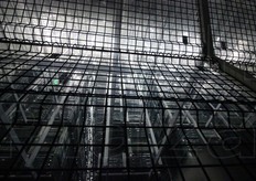 Cassoni a perdita d'occhio, in altezza, in profondita' e in lunghezza. Rimangono qui tra le due e le tre settimane al massimo. Il prodotto biologico e quello convenzionale vengono stoccati insieme. Unica regola: categoricamente i cassoni di mele bio devono stare sopra quelli di prodotto convenzionale.