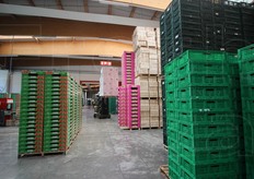 Diverse le tipologie: legno, plastica, cartone, monostrato, doppio strato, casse da 3 e 15 chili, e molte altre. L'area a loro destinata e' di circa un ettaro.