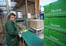 Gli imballi vengono spediti, con una serie di scivoli, verso il confezionamento delle mele. Sul lato destro, cartone destinato a un solo cliente (Lidl) per una sola varieta' (Pinova).