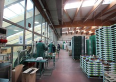 Ancora un dettaglio della zona di preparazione degli imballaggi per il confezionamento.