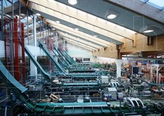 Le linee di confezionamento. Dall'alto arrivano gli imballaggi, dal basso le mele gia' calibrate tirate fuori dal magazzino.