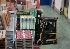 Le mele possono essere confezionate anche a marchio del cliente, oltre che a marchio Val Venosta.