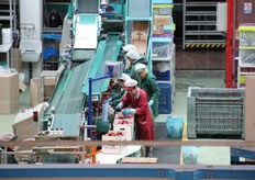 Confezionatrici e confezionatori al lavoro.