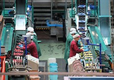 Una fase del confezionamento.