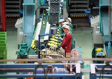 A differenza dei reparti precedenti in quello di confezionamento e' ancora la componente umana a farla da padrona.