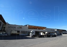 Ogni cooperativa e' indipendente dalle altre e cosi', dopo la Mivor, anche altre due realta' riunite sotto la VI.P. hanno negli ultimi tempi automatizzato in parte la lavorazione: prima la Texel, poi la Geos. Nei prossimi anni lo faranno anche la Oveg e la Juval.