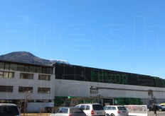 La scritta Mivor realizzata con una composizione di cassoni. Questi cassoni, precedentemente lavati e sterilizzati, sono gia' pronti per la prossima stagione melicola.